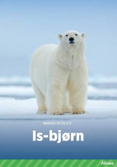 Is-bjørn