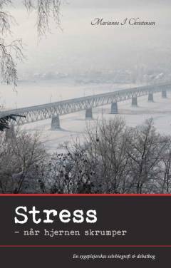 Stress - når hjernen skrumper : en sygeplejerskes selvbiografi og debatbog om stress