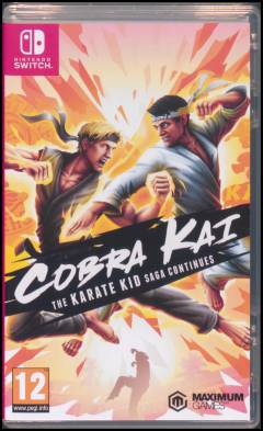 Cobra Kai - The karate kid saga continues