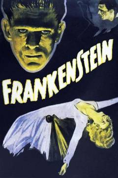Film (dvd), 2003