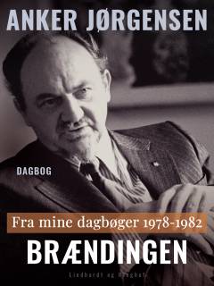 Brændingen : fra mine dagbøger 1978-1982