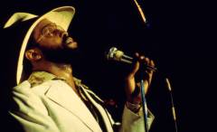 Am I black enough for you