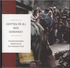 Egypten på vej mod demokrati : arbejdsmarkedets betydning for Det Arabiske Forår