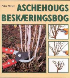 Bog, 1. udgave, 2000