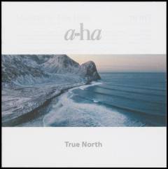 True north