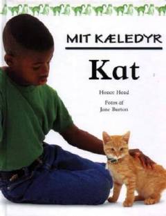 Kat