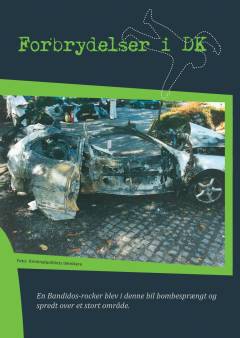 Forbrydelser i DK. Bind 2