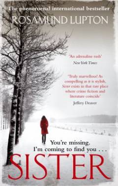 Sister : a novel