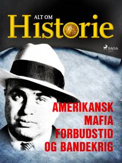 Amerikansk mafia, forbudstid og bandekrig