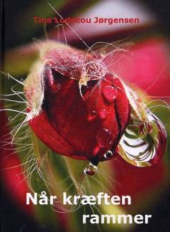 Når kræften rammer : en helt personlig historie om at se døden i øjnene og ændre sit liv totalt