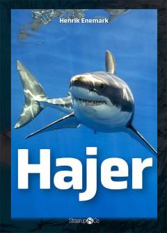 Hajer