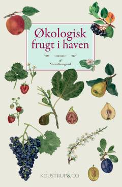 Økologisk frugt i haven