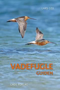 Vadefugleguiden