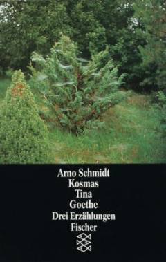 Kosmas oder Vom Berge des Nordens: Tina oder Über die Unsterblichkeit ; Goethe und einer seiner Bewunderer : drei Erzählungen