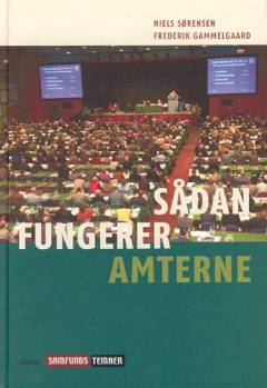 Sådan fungerer amterne