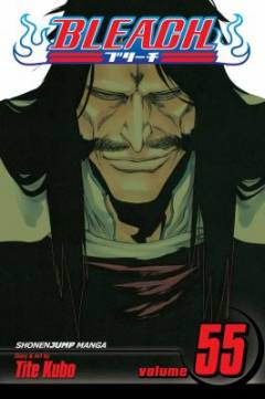 Bleach. Vol. 55 : The blood warfare