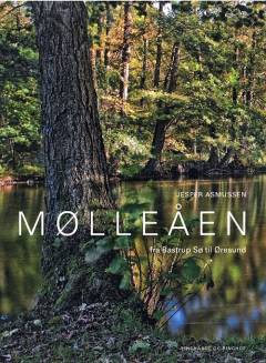 Bog, 1. udgave, 2010