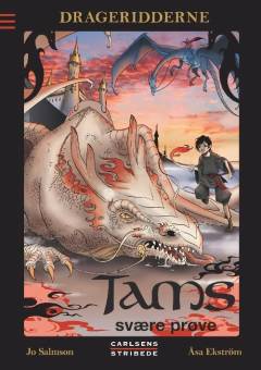 Bog, 2. udgave, 2013