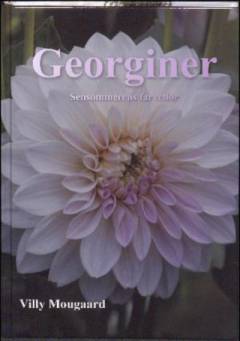 Georginer, Dahlia - sensommerens farveflor