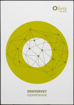 Erhvervet hjerneskade