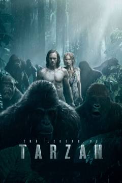 Film (dvd), 2016