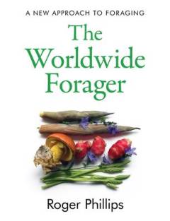 The worldwide forager : a new approach to foraging