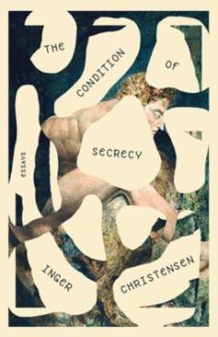 The condition of secrecy : selected essays