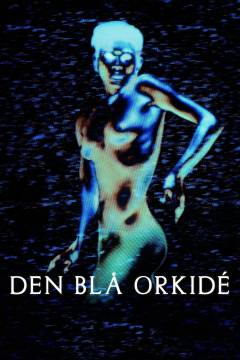 Film (online), 2022