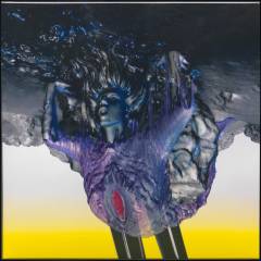 Vulnicura