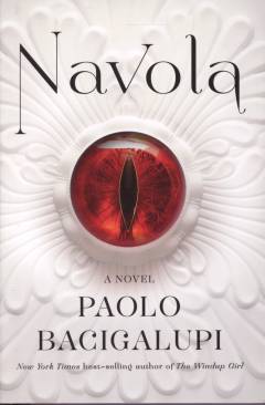 Navola : a novel
