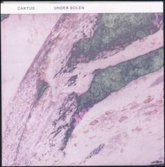 Musik (grammofonplade), ℗2020