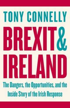 Brexit and Ireland : the dangers, the opportunities, and the inside story of the Irish response