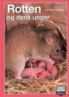 Rotten og dens unger