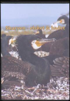 Skarven - elsket og hadet