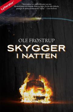 Skygger i natten