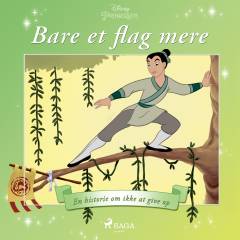 Bare et flag mere : en historie om ikke at give op