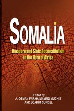 Somalia : diaspora and state reconstitution in the Horn of Africa