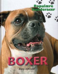 Boxer