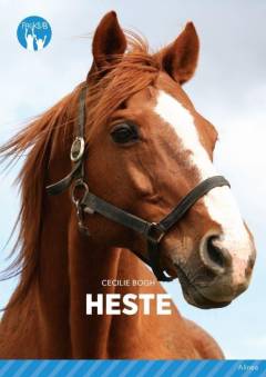 Heste