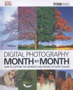 Digital photography month by month