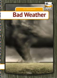 Bad weather