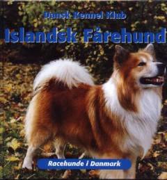 Islandsk fårehund