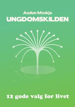Ungdomskilden : 12 gode valg for livet
