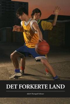 Det forkerte land (Letlæsning)