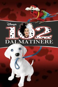 102 dalmatinere