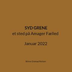 Syd grene : et sted på Amager Fælled : januar 2022