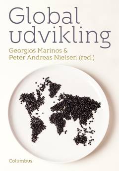 Global udvikling