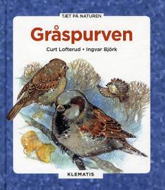 Gråspurven