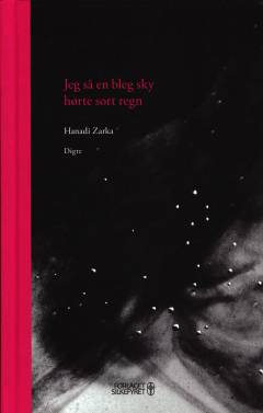 Jeg så en bleg sky, hørte sort regn : digte