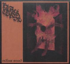 Endless wound